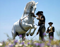 Feria del Caballo