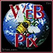 Beehive WeB Pix Award