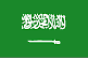 http://www.nationsonline.org/flags/saudi_arabia_flag.gif