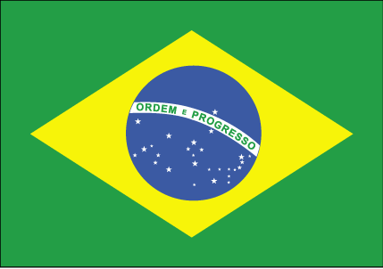 brazilian flag outline. Brazil