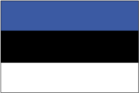 Image result for estonia flag