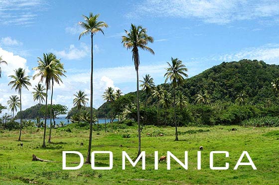 Typical Dominica landscape