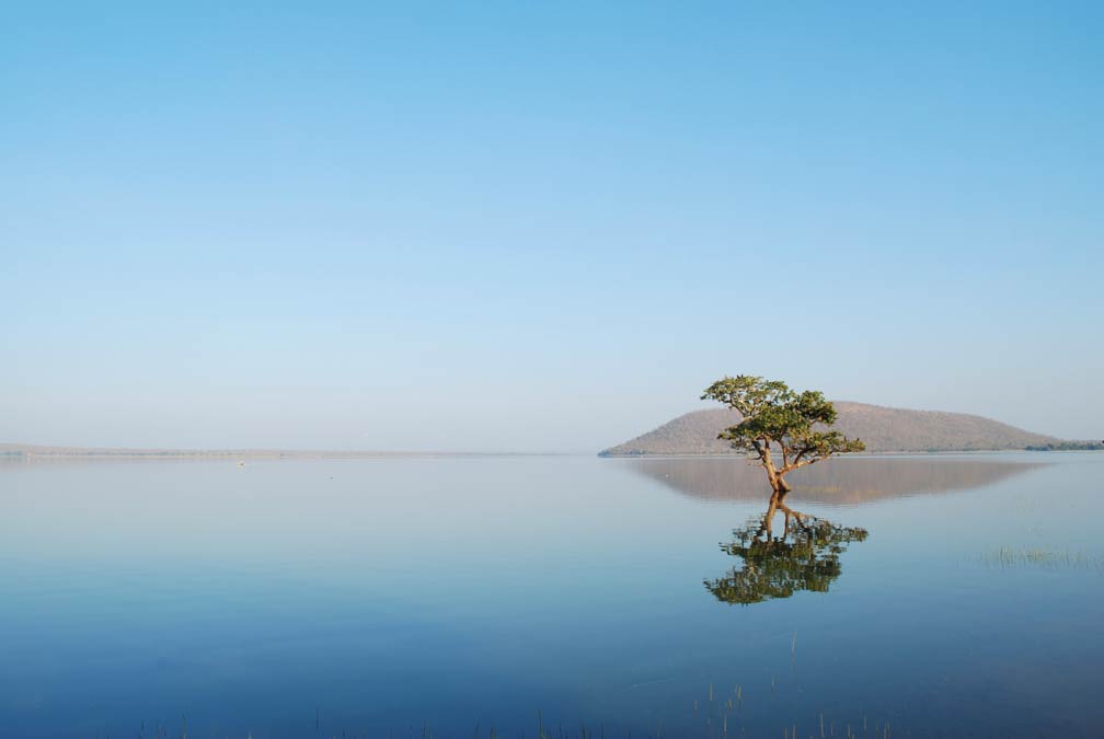 Pakhal Lake in the Pakhal Wildlife Sanctuary in Warangal