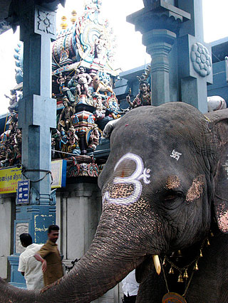 Manakula Vinayagar Temple