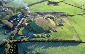 Bru na Boinne Complex