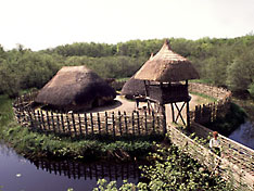 bronze age ireland