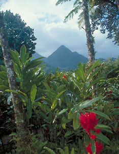 Landscape Martinique Island