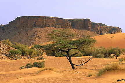 Adrar region