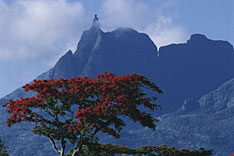 Pieter Both, Mauritius