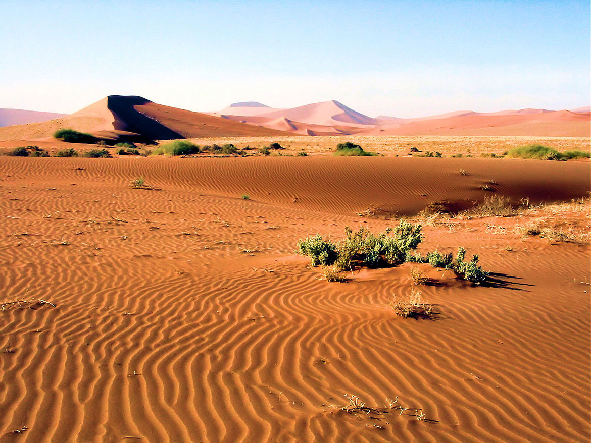 Namibia Republic Of Namibia Country Profile Destination South Africa