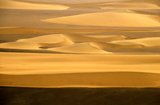 Kalahari Desert