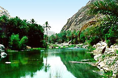 Wadi 