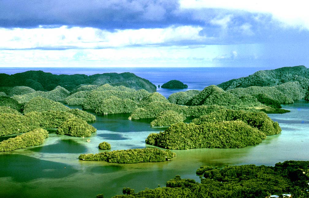 Uplifted limestone islands, Palau's "Rock Islands"