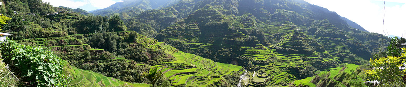 Banaue Rice Terraces, Ifugao