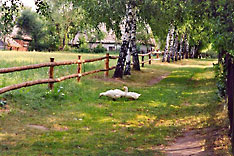 Museum of Mazovian Countryside