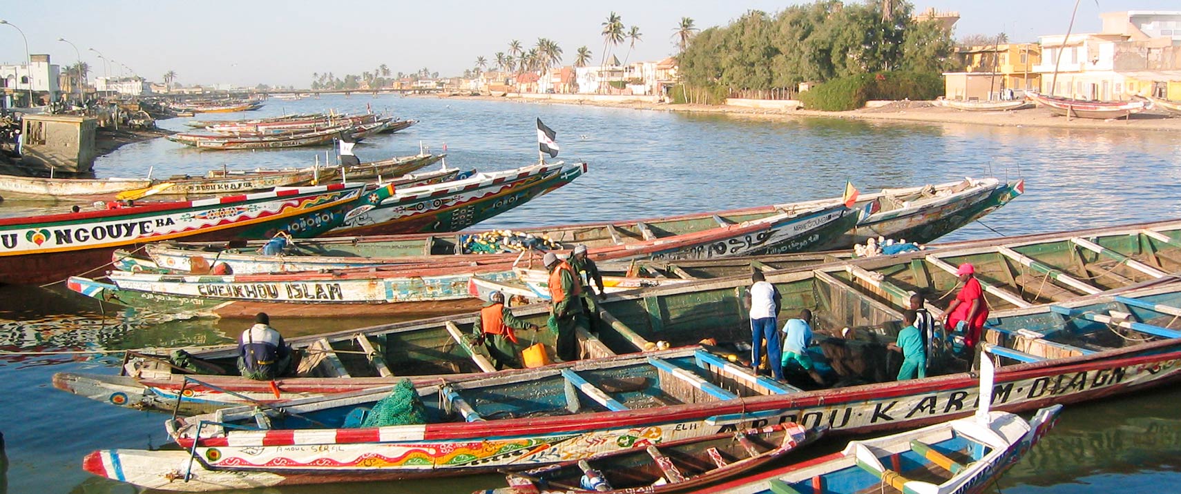 Pirogues at Saint-Louis warf, Senegal