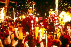 Sri Lanka Kandy Perahera