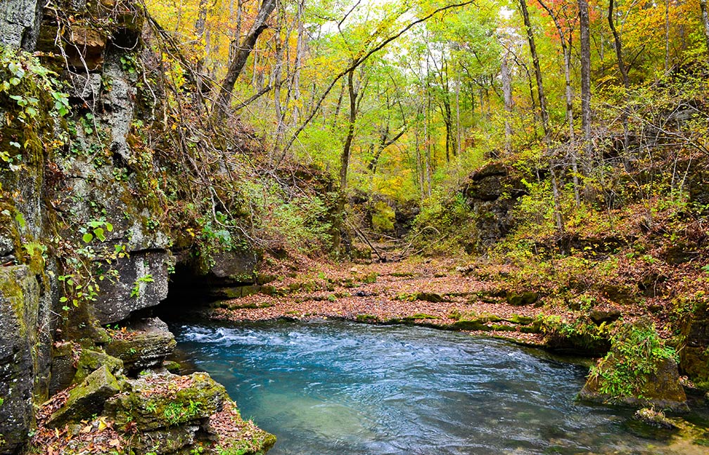 Greer Spring in the southeast portion of the Ozark Plateau