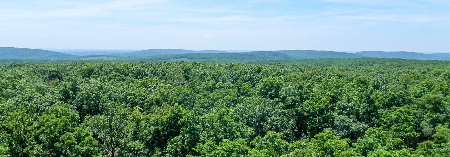 The Ozark Highlands. View from the lookout tower on Taum Sauk Mountain in Missouri.