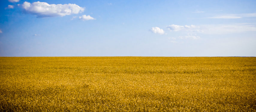 Ukraine landscape