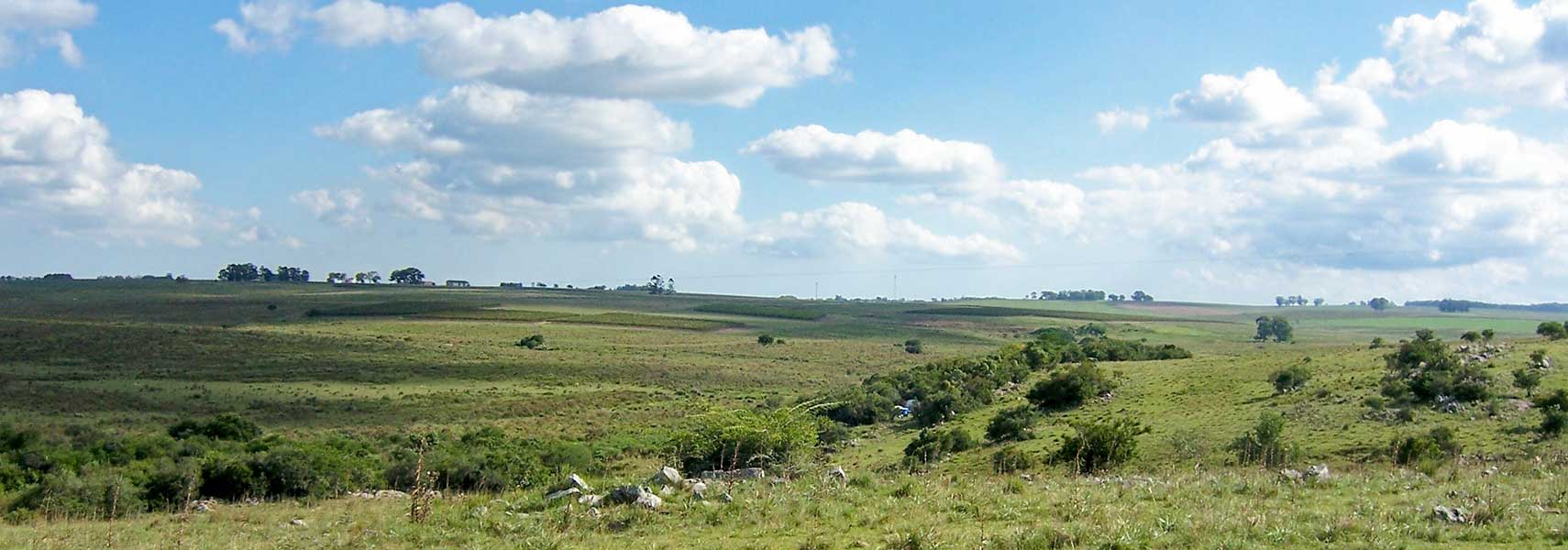 Landscape in San José department of Uruguay