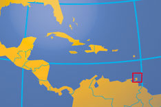 how to call trinidad and tobago from the us