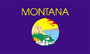 Montana State Flag