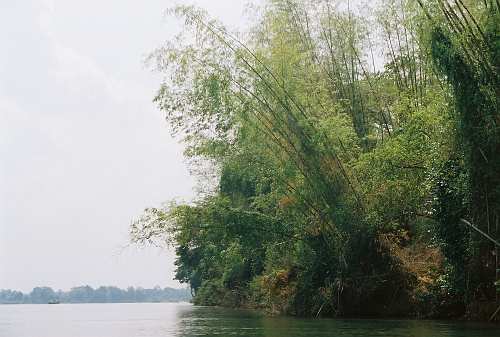 Don-Det_12 Bamboo, Mekong, Don Det, 4000 islands.