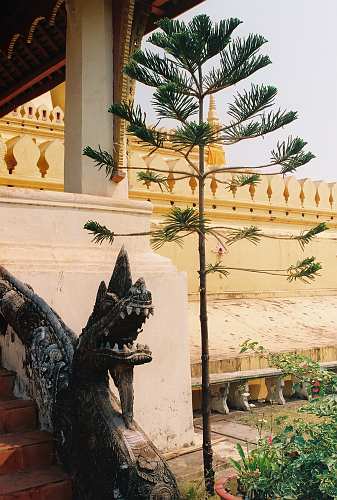 Pha-That-Luang_17 National monument Vat Pha That Luang, Vientiane