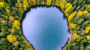 lake symbol 