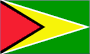 Flag of Guyana