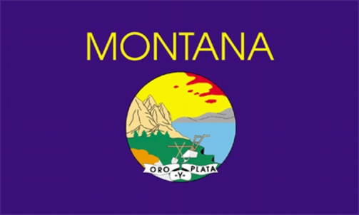 Details about   Montana State Flag Twill Cap 