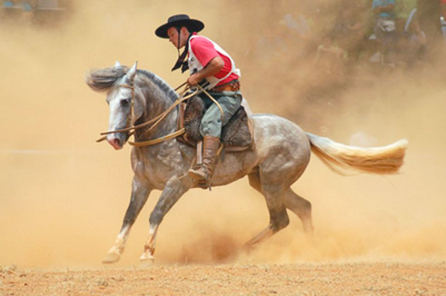 Gaucho Argentina. Gaucho on a Criollo horse