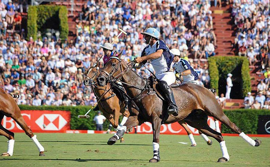 Polo game in Argentina. The Final of the Argentine Open 2014