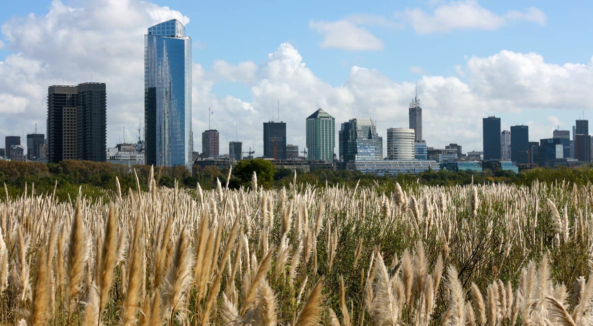 View of Buenos Aires Central Business District from the Costanera Sur Ecological Reserve.