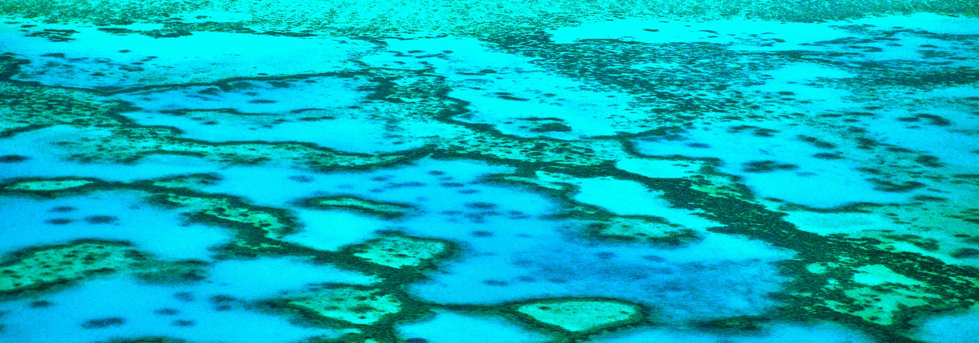 Aerial view of the Great Barrier Reef near the Capricorn Group, Queensland, Australia