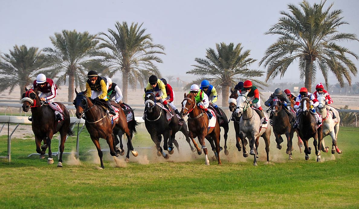 Horse racing Bahrain