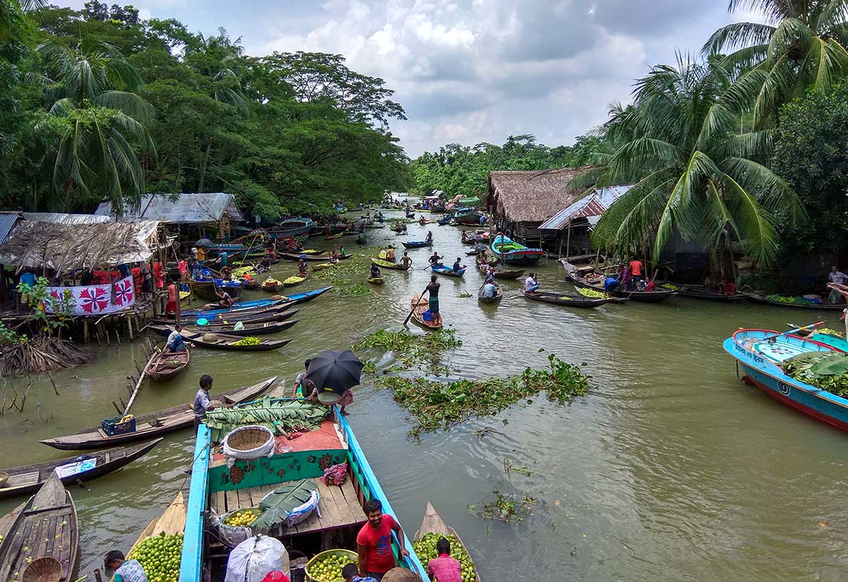Floating guava markets on the canals in Jhalokathi district, Bangladesh
