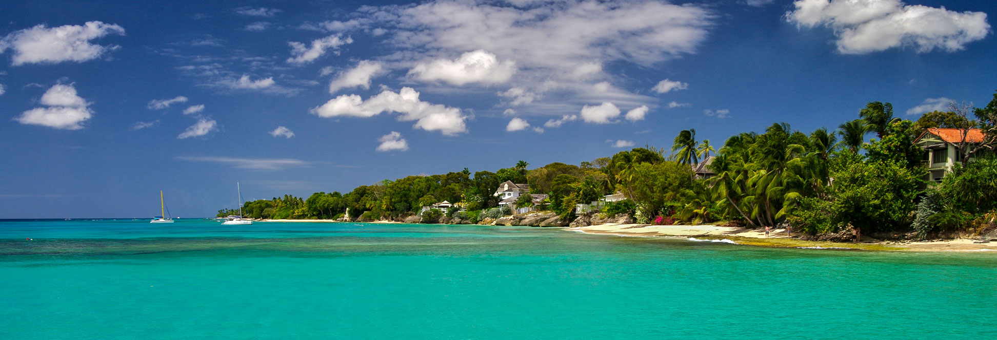 The colors of the Caribbean at a beach in Barbados.