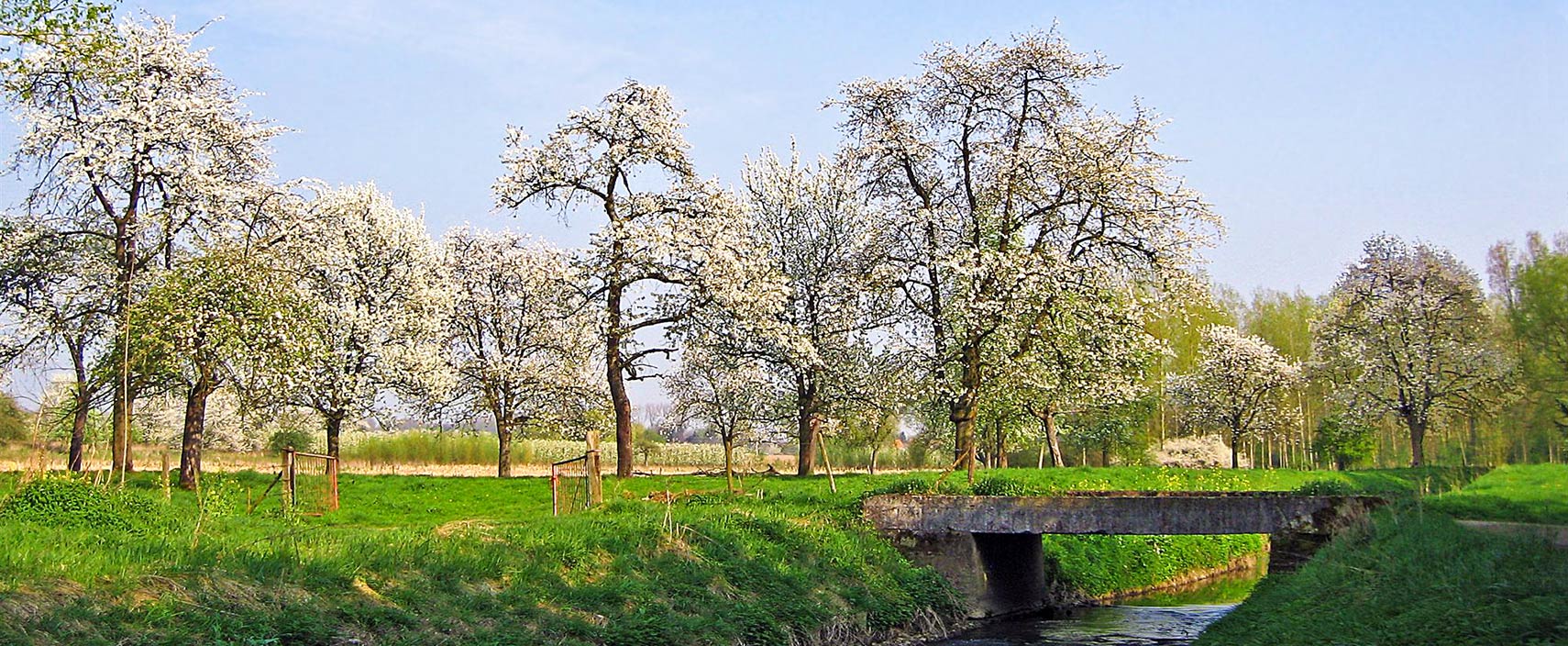 Blossoming season, Alken, Flemish Brabant, Belgium