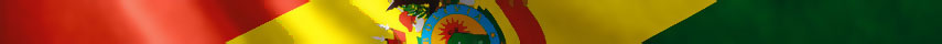 Bolivia  Flag detail