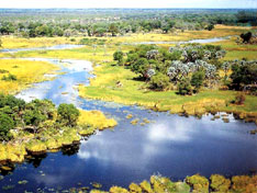 Okavango Delta, Botswana