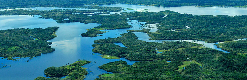 Amazon Rainforest, Brazil