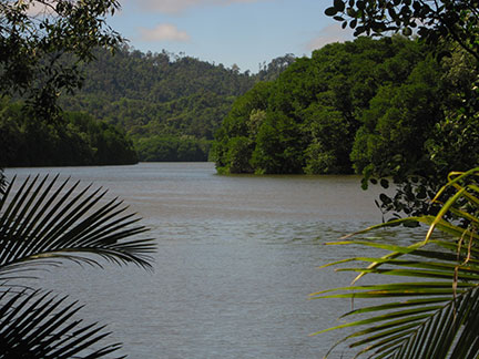 Mouth of Damuan river into Brunei River