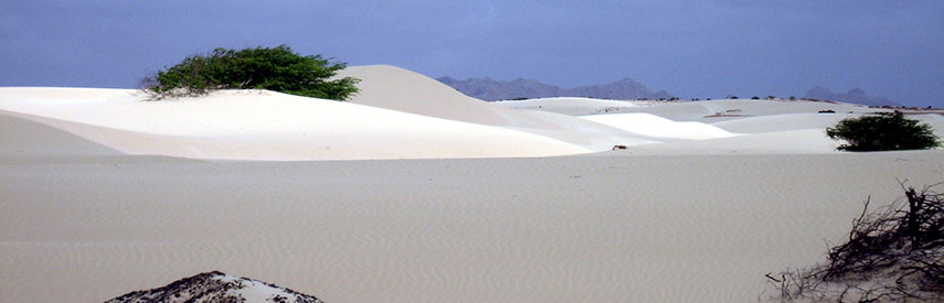Deserto de Viana, Boa Vista, Cape Verde