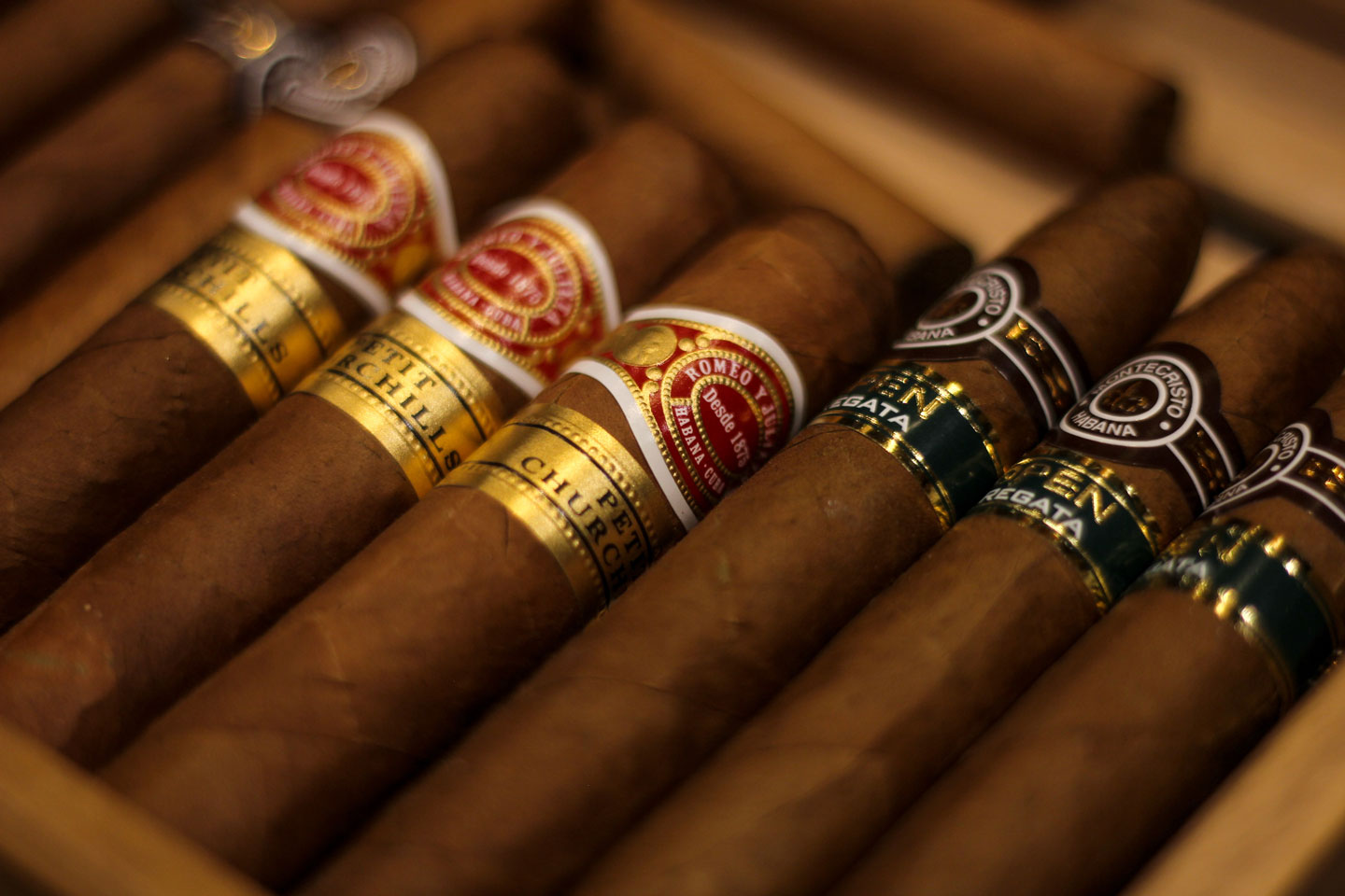 Cuban cigars