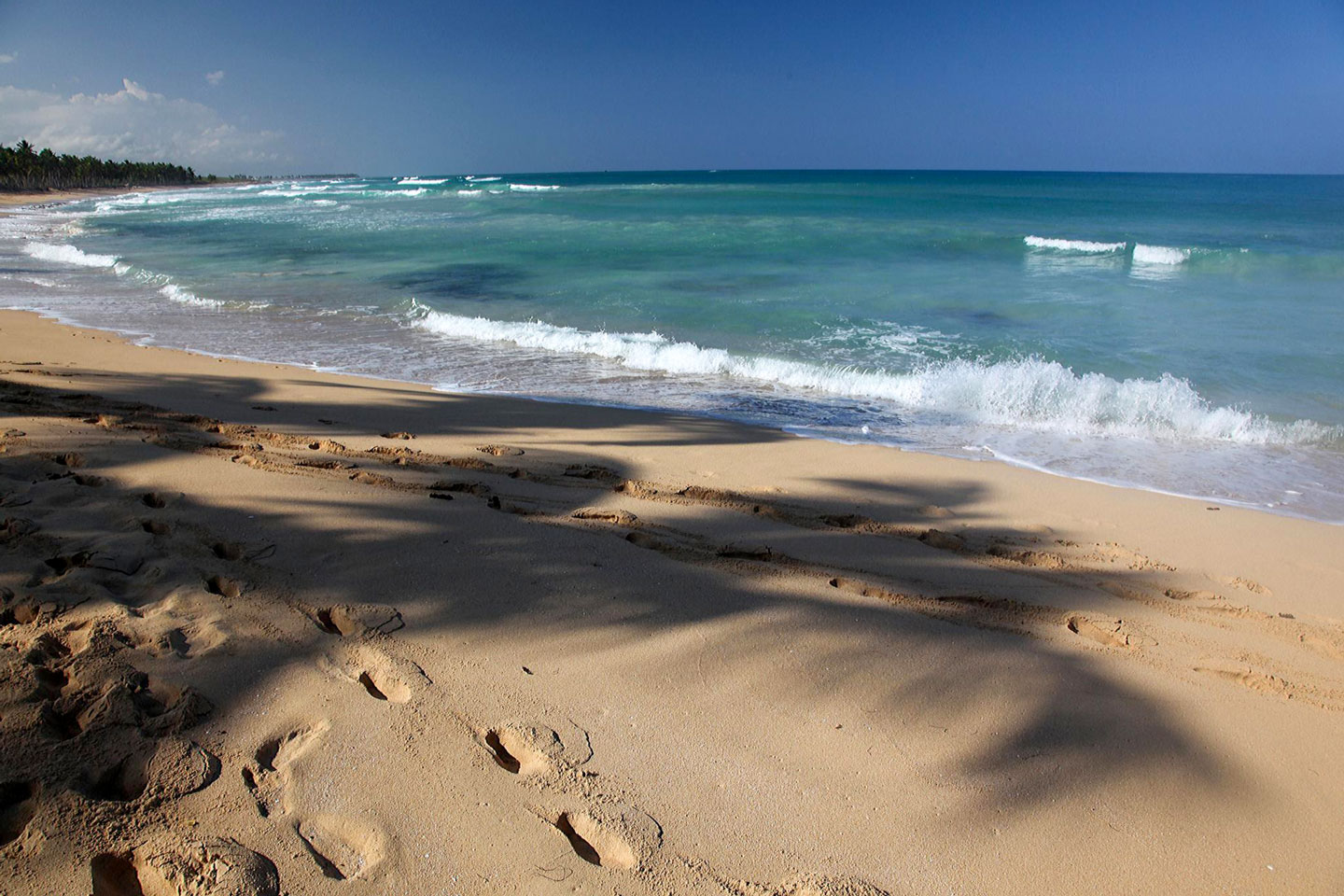 Beach in the Dominican Republic