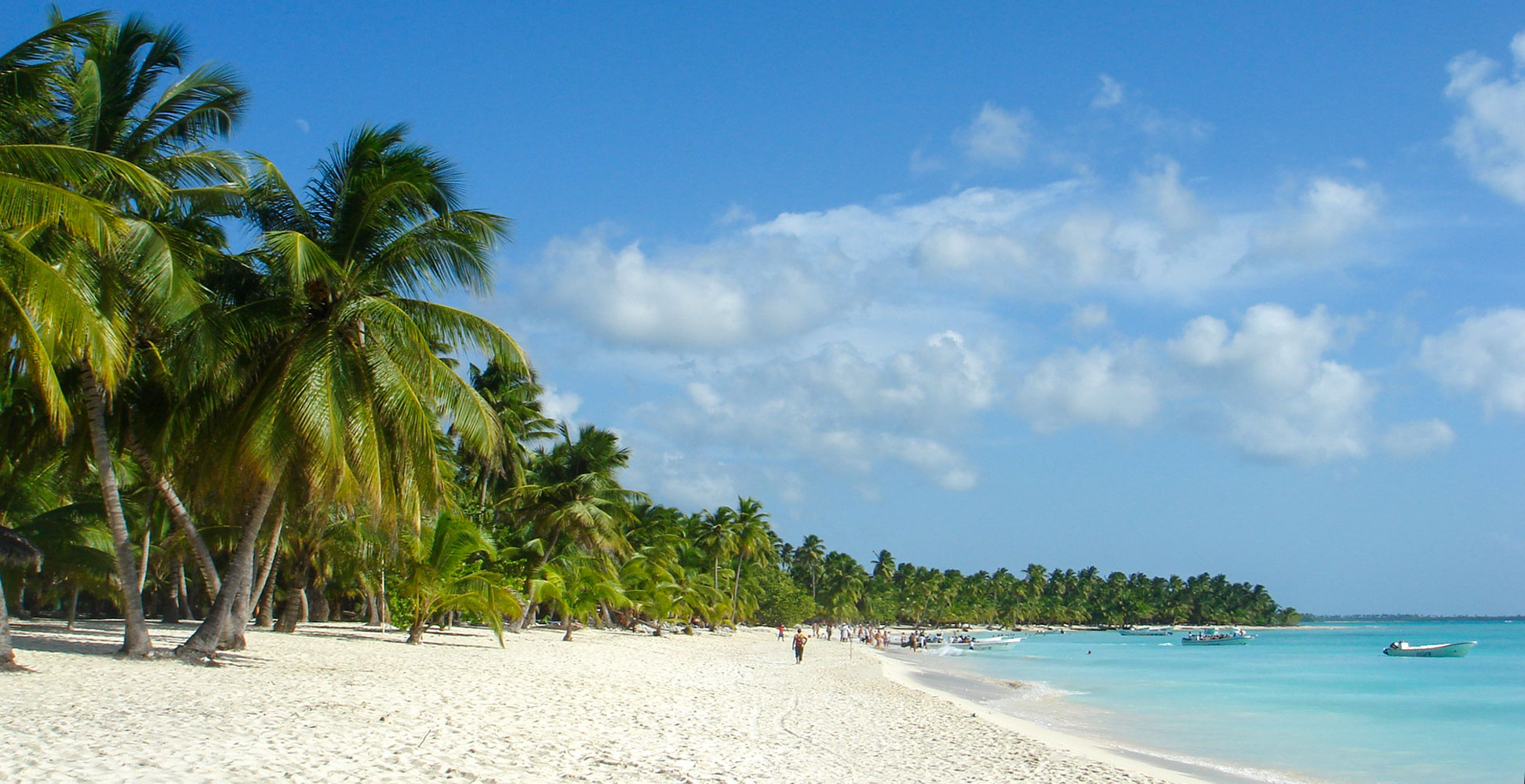 The palm-fringed beach of Isla Saona, Dominican Republic