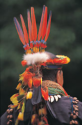 Native Indian - Amazonia