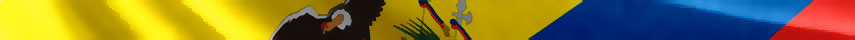 Ecuador Flag detail 